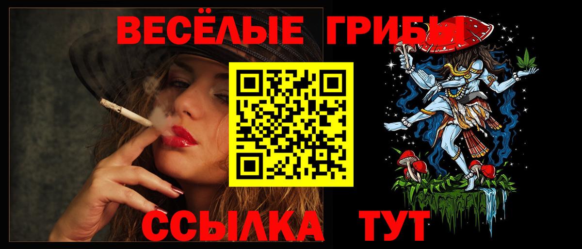 Псилоцибиновые грибы MAGIC MUSHROOMS Гусев