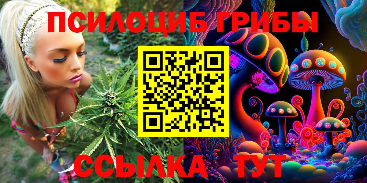 Гусев  Галлюциногенные грибы Psilocybine cubensis  Вход с VPN 